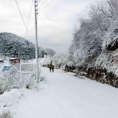 דאנאולטי La Riqueza Dhanolti View # Near To Eco Park & Surkanda Devi Temple # Mountain View Rooms With Balcony # Big Parking # Customer Favourite Hotel מראה חיצוני תמונה