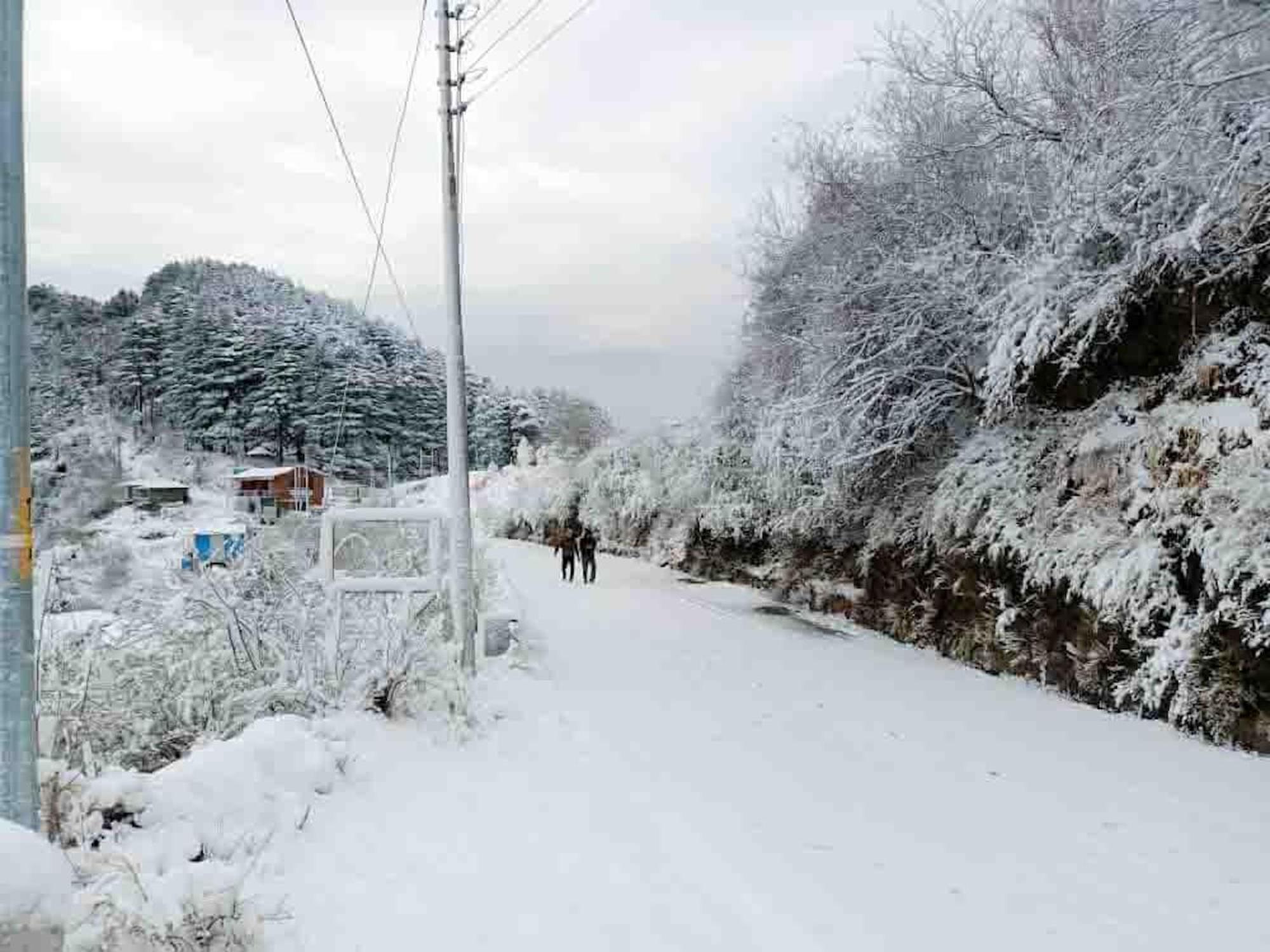 דאנאולטי La Riqueza Dhanolti View # Near To Eco Park & Surkanda Devi Temple # Mountain View Rooms With Balcony # Big Parking # Customer Favourite Hotel מראה חיצוני תמונה